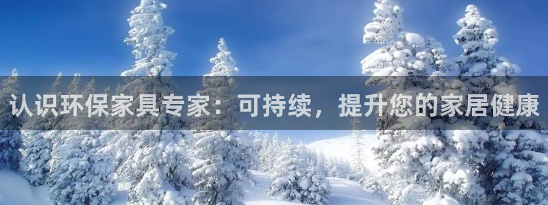 杏耀手机网页登录入口