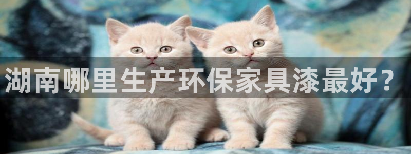 杏耀注册线路