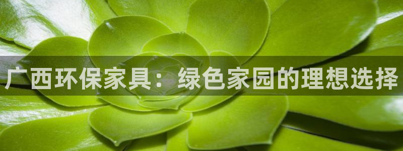 杏耀平台在哪里