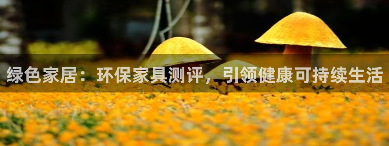 杏耀官网客服：绿色家居：环保家具测评，引领健康可持续生活