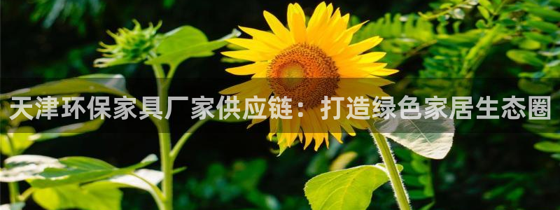 杏耀官网app：天津环保家具厂家供应链：打造绿色家居生态圈