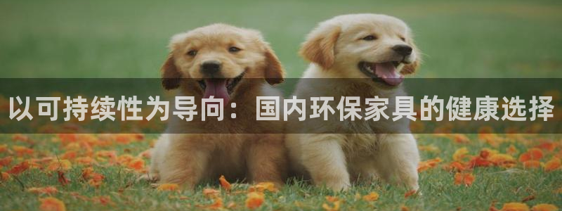 杏耀登录网页：以可持续性为导向：国内环保家具的健康选择