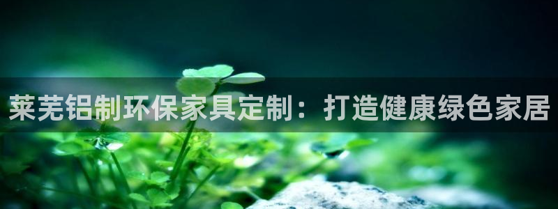 杏耀是什么平台：莱芜铝制环保家具定制：打造健康绿色家居