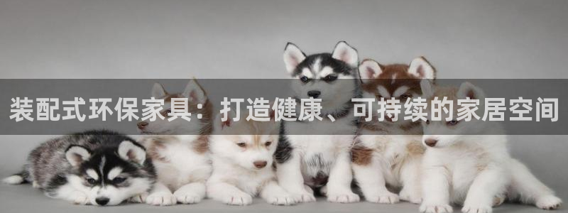 杏耀平台代理登录网址是多少：装配式环保家具：打造健康、可持续