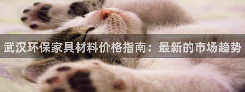 杏耀开户app下载：武汉环保家具材料价格指南：最新的市场趋势