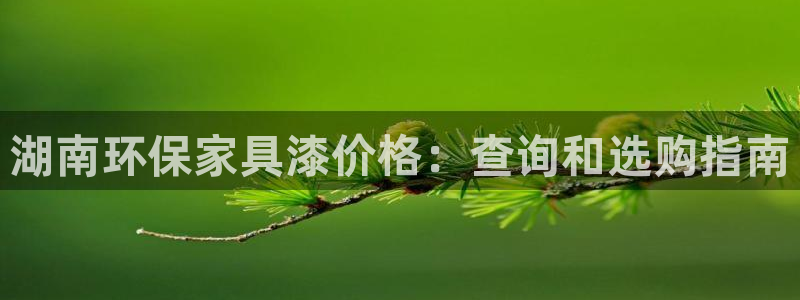 杏耀代理注册：湖南环保家具漆价格：查询和选购指南