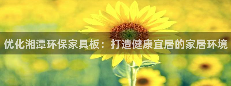 杏耀登录测速：优化湘潭环保家具板：打造健康宜居的家居环境