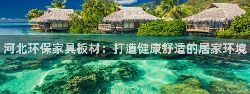 杏耀登陆电脑线路测速