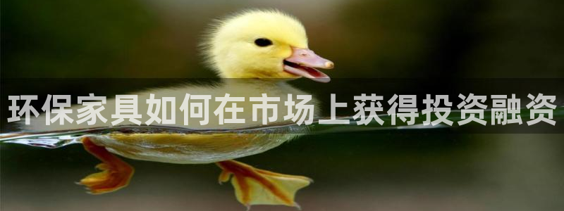 杏耀平台开户：环保家具如何在市场上获得投资融资