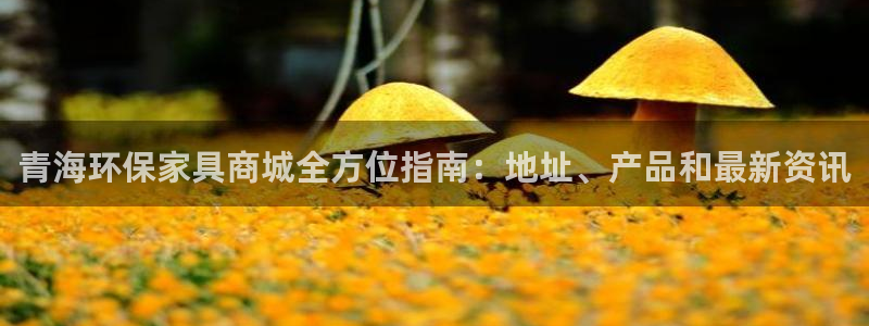 杏耀平台官方登录：青海环保家具商城全方位指南：地址、产品和最