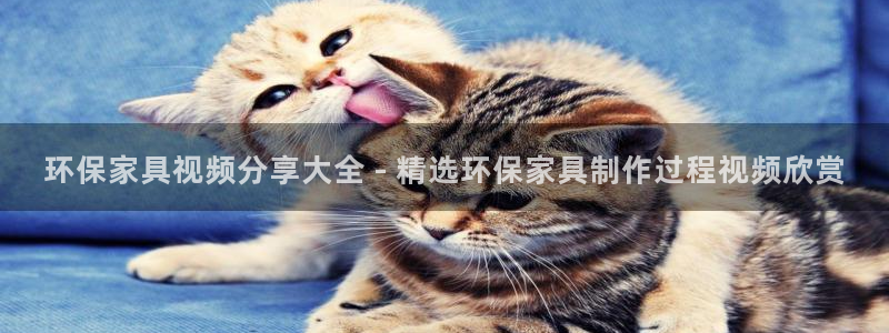杏耀平台代理：环保家具视频分享大全 - 精选环保家具制作过程