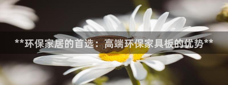 杏耀官网网站：**环保家居的首选：高端环保家具板的优势**