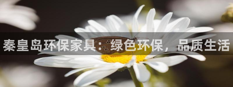 杏耀登录网页：秦皇岛环保家具：绿色环保，品质生活