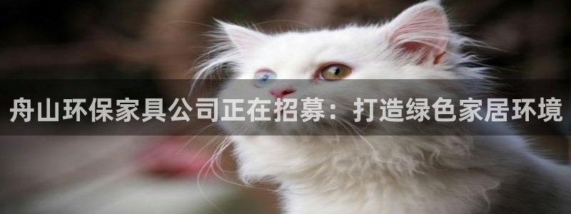 杏耀平台代理登录网址是什么：舟山环保家具公司正在招募：打造绿