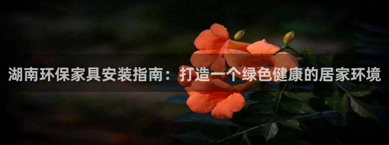 杏耀注册开户：湖南环保家具安装指南：打造一个绿色健康的居家环