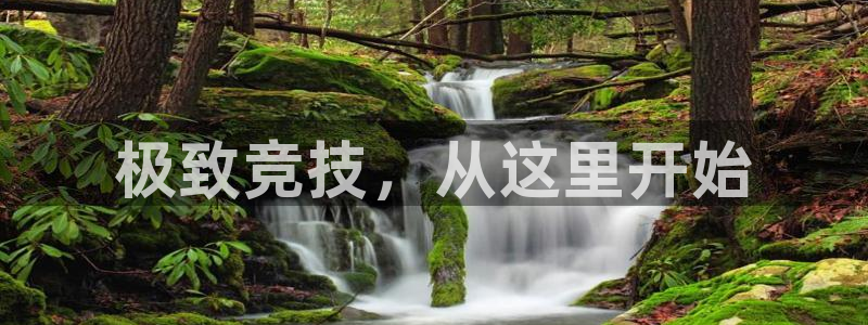 乐鱼电竞app下载