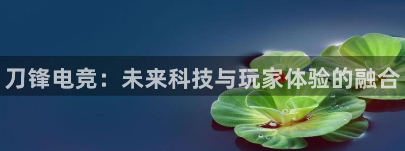 乐鱼电竞网站